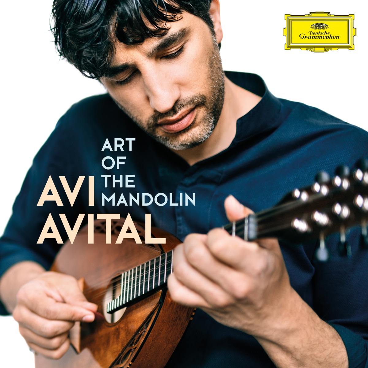 Concerto for Mandolin in D major, RV 208 앨범아트